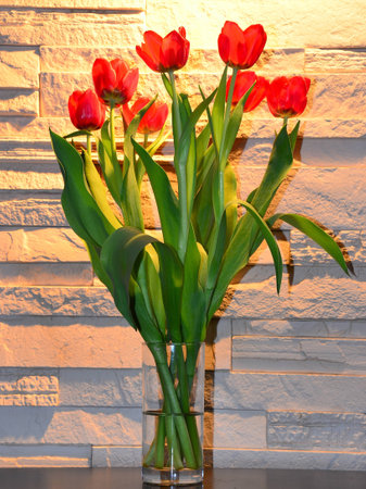 Tulips in a glass against stone wallの写真素材