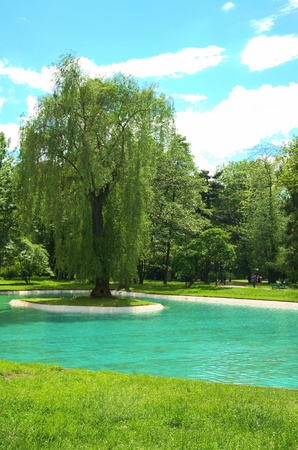 city parkの写真素材