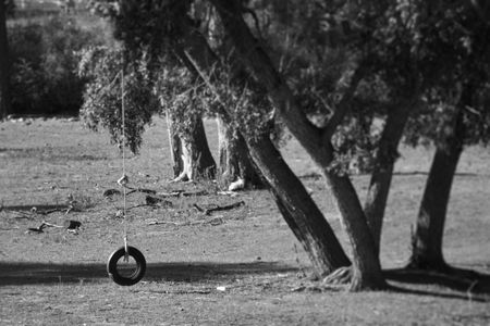 A black and white photo of a tire swingの写真素材