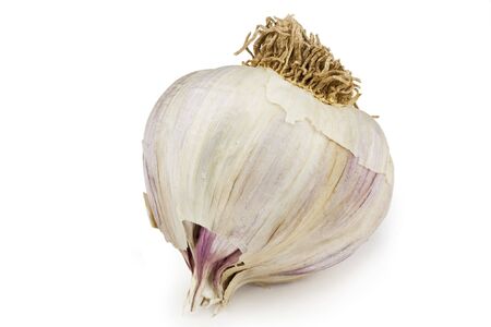A head of garlic isolated against a white backgroundの写真素材