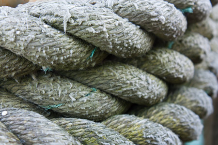 Background image of textured and coiled ropeの写真素材
