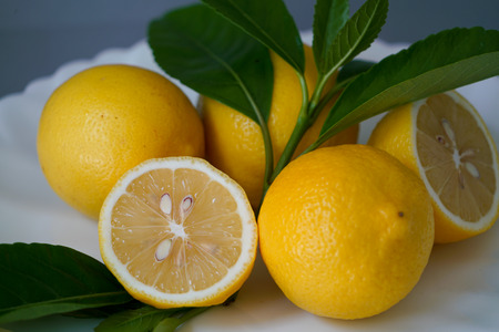 Organic lemon and leave on white plate with the gray background - Isolatedの写真素材