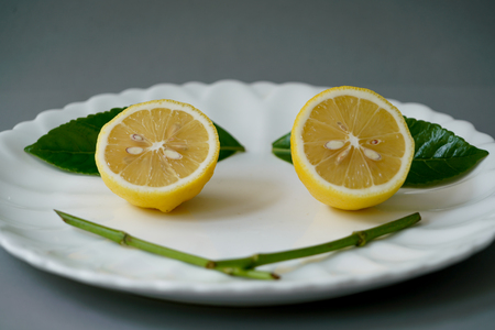 Organic lemon and leave on white plate with the gray background - Isolatedの写真素材