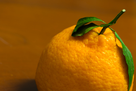 Dekopon Japanese organic orange on the wooden backgroundの写真素材