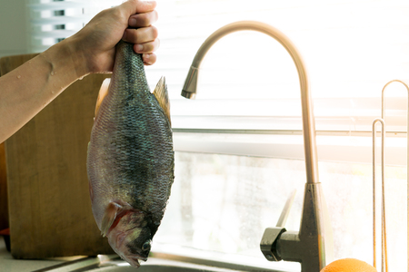 Seabass after cleaning - ready for cookingの写真素材