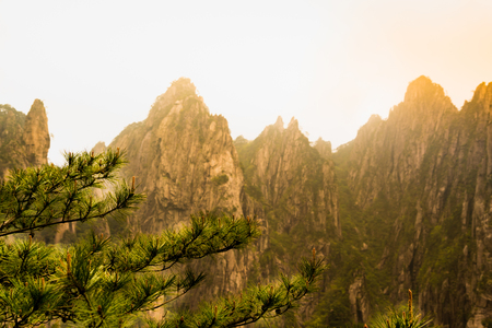 The pine tree with mountains on sunset of Huangshan, Anhui, Chinaの写真素材