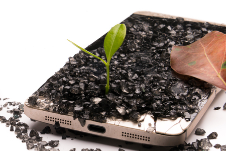 little tree growing on the broken smart phone, environment, knowledge, innovation and technology concept with copy spaceの写真素材