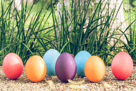 Easter egg ! happy colorful Easter sunday hunt holiday decorations Easter concept backgrounds with copy space - Gain & Noise filter appliedの写真素材
