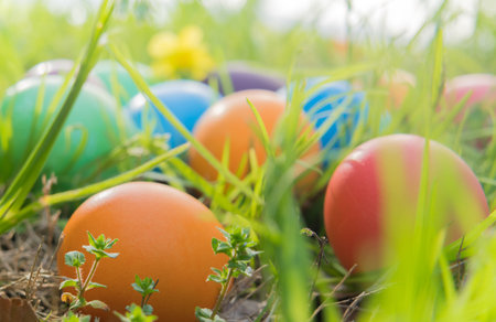 Easter egg ! happy colorful Easter sunday hunt holiday decorations Easter concept backgrounds with...