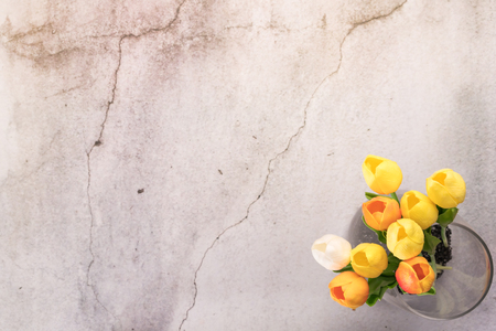 tulip flower in the glass jar with crack white cement background spring conceptの写真素材