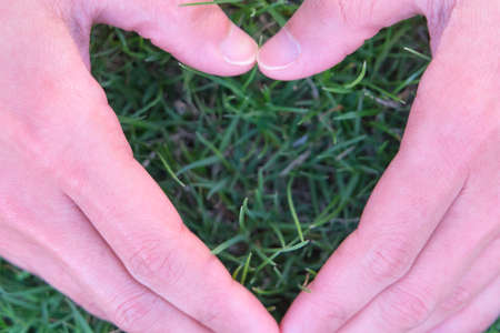 heart shape on the grass hand form in heart shape on the grass backgrounds, world earth day conceptの写真素材