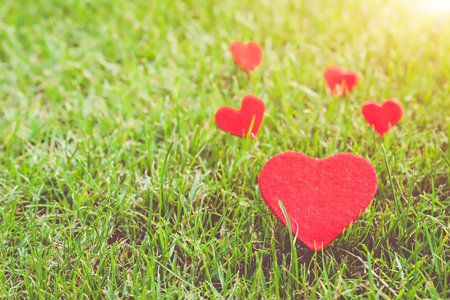 red heart on the green grass backgrounds with copy spaceの写真素材