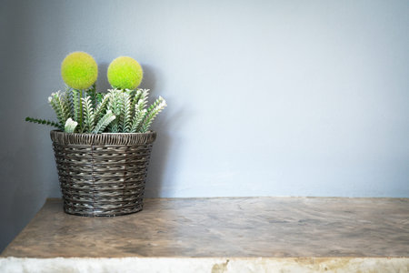 artificial small tree in a luxury flower pot with grey cement wall, copy spaceの写真素材