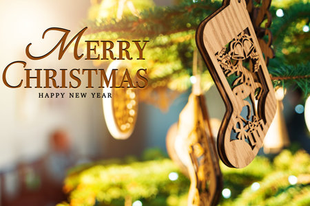 Merry Christmas and Happy New Year concept