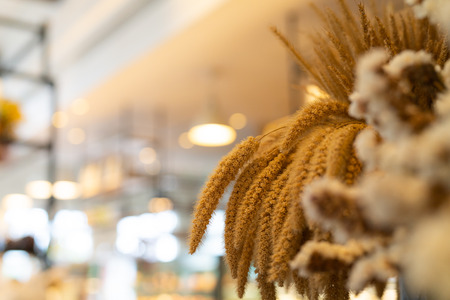 Dry flowers in pot on bright interior house backgroundの写真素材