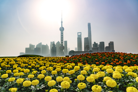 morning landscape of the bund, huangpu riverside,  shanghai city view backgroundの写真素材