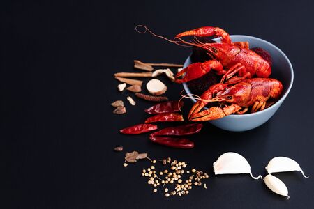 Crayfish red, Baby Lobster with herb for stir fry on black backgroundの写真素材