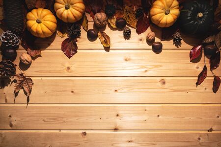 Happy Thanksgiving Day with pumpkin and nut on wooden backgroundの写真素材