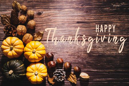 Happy Thanksgiving Day with pumpkin and nut on wooden tableの写真素材