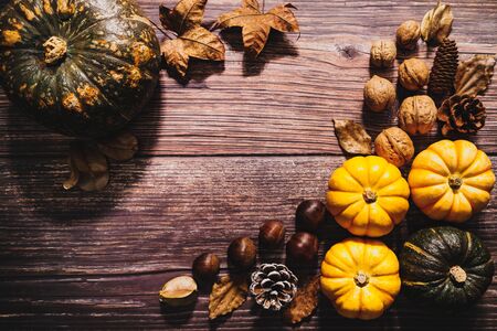 Happy Thanksgiving Day with pumpkin and nut on wooden tableの写真素材