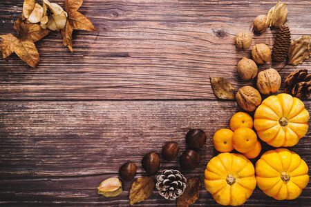 Happy Thanksgiving Day with pumpkin and nut on wooden tableの写真素材