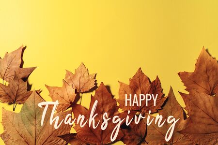 Happy Thanksgiving Day with Maple leave and textの写真素材