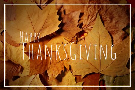 Happy Thanksgiving Day with Maple leave and textの写真素材