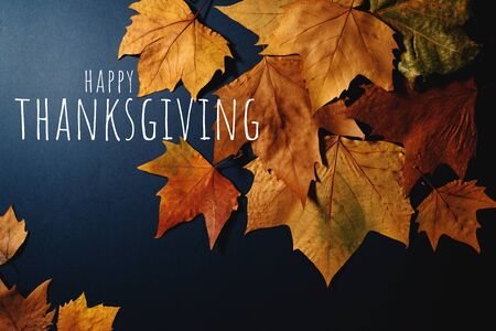 Happy Thanksgiving Day with Maple leave and textの写真素材