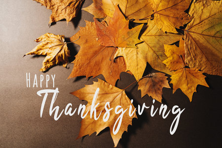 Happy Thanksgiving Day with Maple leave and textの写真素材
