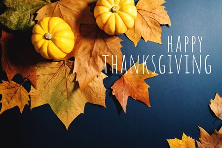 Happy Thanksgiving Day with maple leaves and pumpkin on blue backgroundの写真素材