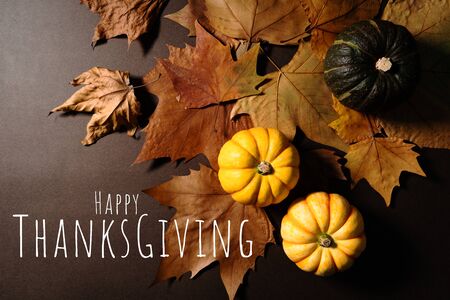 Happy Thanksgiving Day with pumpkin and maple leavesの写真素材