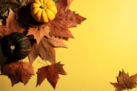 Happy Thanksgiving Day with maple leaves and pumpkin on yellow backgroundの写真素材