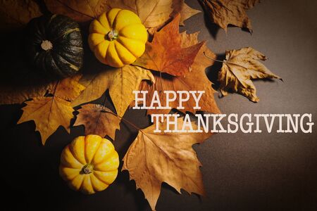 Happy Thanksgiving Day with pumpkin and maple leavesの写真素材