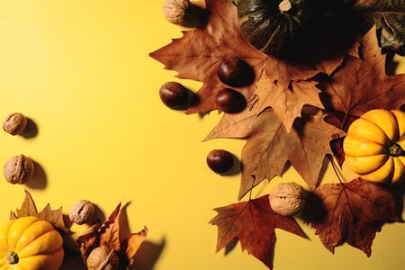 Happy Thanksgiving Day with maple leaves, nut and pumpkin on yellow backgroundの写真素材