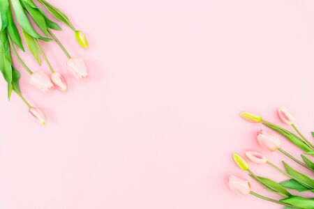 Valentine's Day composition. Tulip flowers on pink background. Valentine's day, Mother's day concept. Flat lay, top view, copy spaceの写真素材