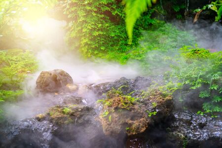 green garden with morning fog and waterfallの写真素材