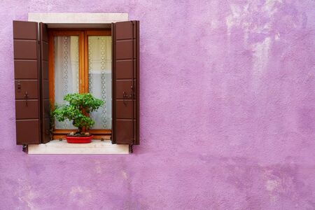 vintage wooden window on cracked purple cement backgroundの写真素材