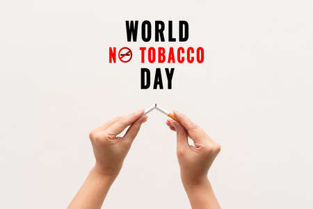 Quit smoking, no tobacco day, woman hands breaking the cigaretteの写真素材