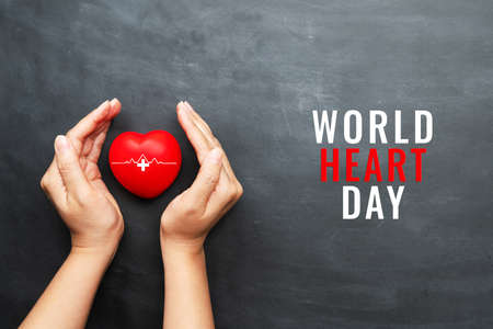 World heart day concept of young woman hand protecting red heart on black backgroundの写真素材