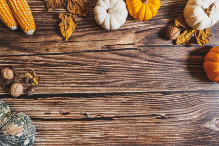 Happy Thanksgiving Day with pumpkin and nut on wooden tableの写真素材