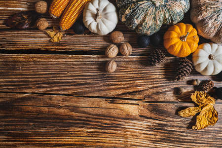 Happy Thanksgiving Day with pumpkin and nut on wooden tableの写真素材
