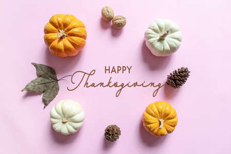 Happy Thanksgiving Day with pumpkin, maple leaf and nutの写真素材