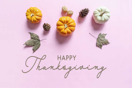 Happy Thanksgiving Day with pumpkin, maple leaf and nutの写真素材