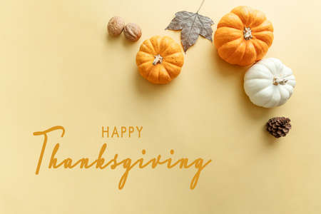 Happy Thanksgiving Day with pumpkin, maple leaf and nutの写真素材