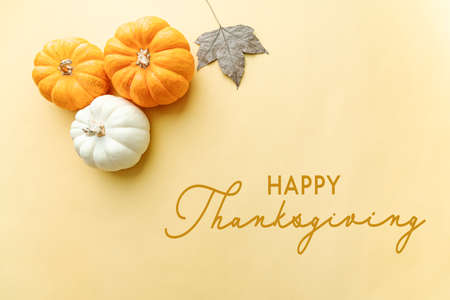 Happy Thanksgiving Day with pumpkin, maple leaf and nutの写真素材