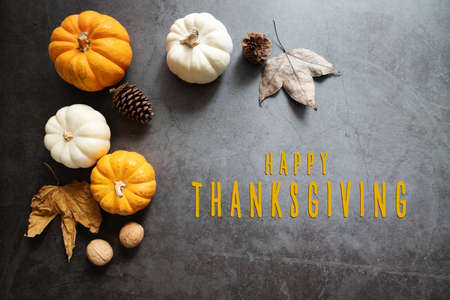 Happy Thanksgiving Day with pumpkin, maple leaf and nutの写真素材