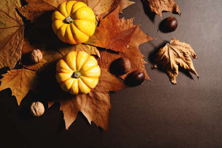 Happy Thanksgiving Day with pumpkin and maple leavesの写真素材