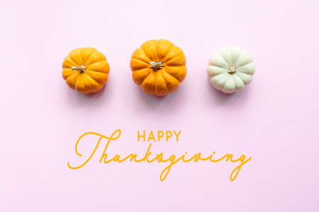 Happy Thanksgiving Day with pumpkin on pink backgroundの写真素材