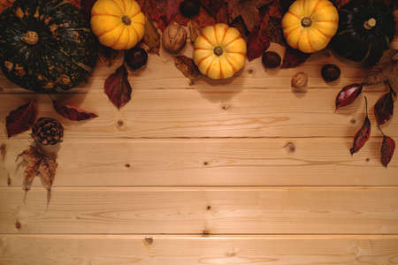 Happy Thanksgiving Day with pumpkin and nut on wooden backgroundの写真素材