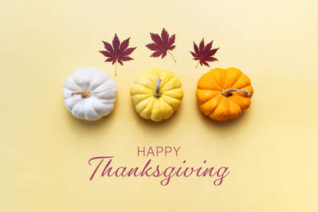 Happy Thanksgiving Day with pumpkin and nut on yellow backgroundの写真素材